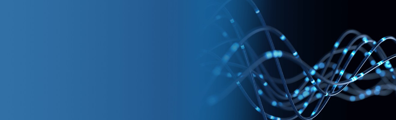 hero home image description